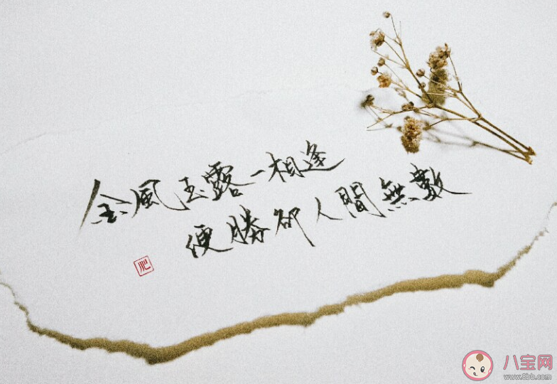金風玉露啊一相逢是什么歌 《金風玉露一相逢》歌曲歌詞介紹