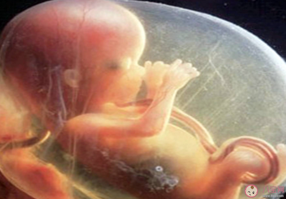 胎兒臍帶繞頸能順產(chǎn)嗎 胎兒臍帶繞頸是什么原因