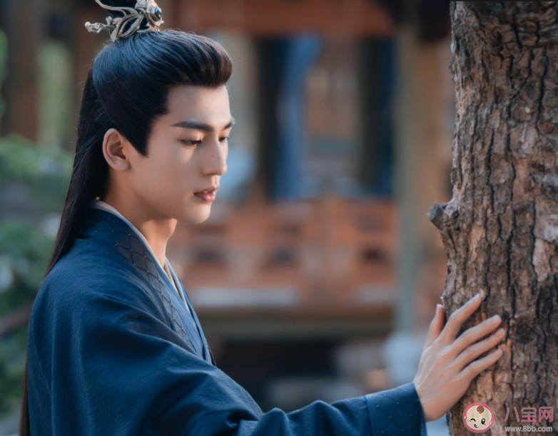 《寧安如夢》燕臨和謝危什么關系 婉娘為什么要調換兩個孩子