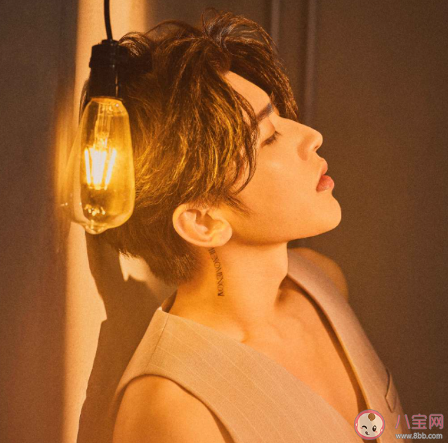 蔡徐坤新歌《Spotlight》歌詞是什么 《Spotlight》歌曲歌詞介紹