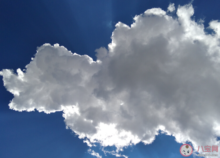 你說翻越那座天空會有誰在等著我是什么歌 《會開花的云》歌詞歌曲介紹 你說翻越那座天空會有誰在等著我是什么歌 《會開花的云》歌詞歌曲介紹