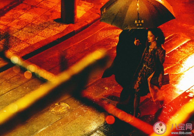 繁花爆火不是偶然現(xiàn)象 繁花為什么會(huì)爆火