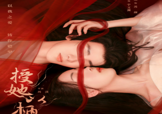 《授她以柄》原著小說是什么 《授她以柄》劇情講的什么