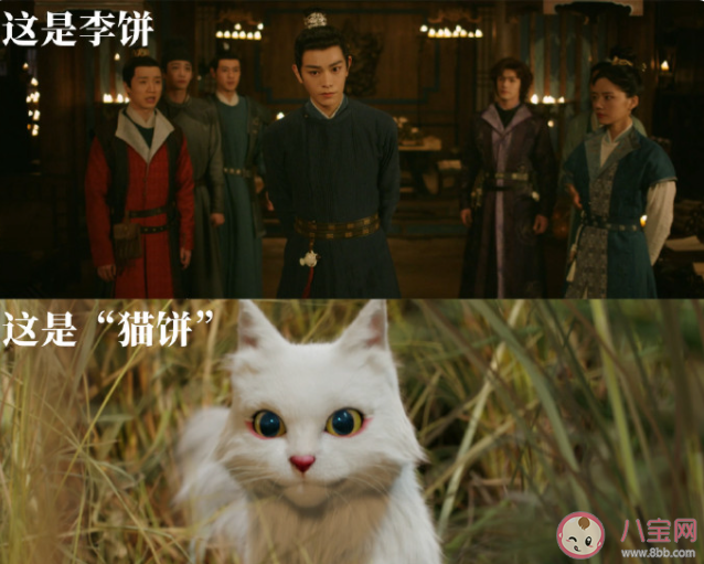 《大理寺少卿游》陳拾和李餅是什么關系 陳拾的哥哥是誰 《大理寺少卿游》陳拾和李餅是什么關系 陳拾的哥哥是誰