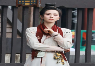 《掌心》原著小說是什么 《掌心》劇情講的是什么