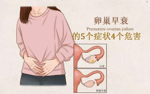 哪些不經(jīng)意的舉動會傷害卵巢 卵巢早衰會有哪些危害