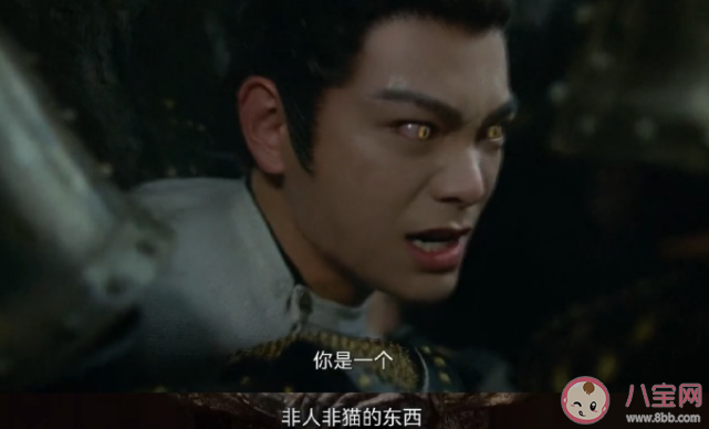 《大理寺少卿游》李餅為什么會(huì)變成貓 邱慶之和一枝花是什么關(guān)系 《大理寺少卿游》李餅為什么會(huì)變成貓 邱慶之和一枝花是什么關(guān)系