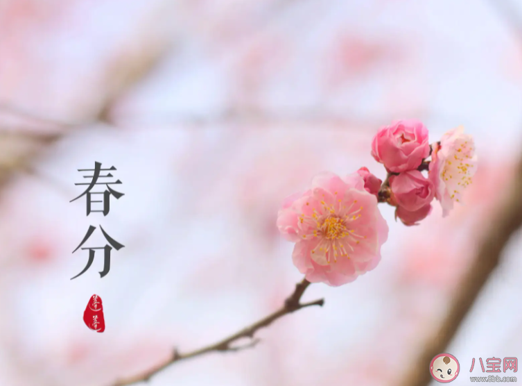 二氣莫交爭春分雨處行說的是哪個節氣 螞蟻莊園3月20日答案