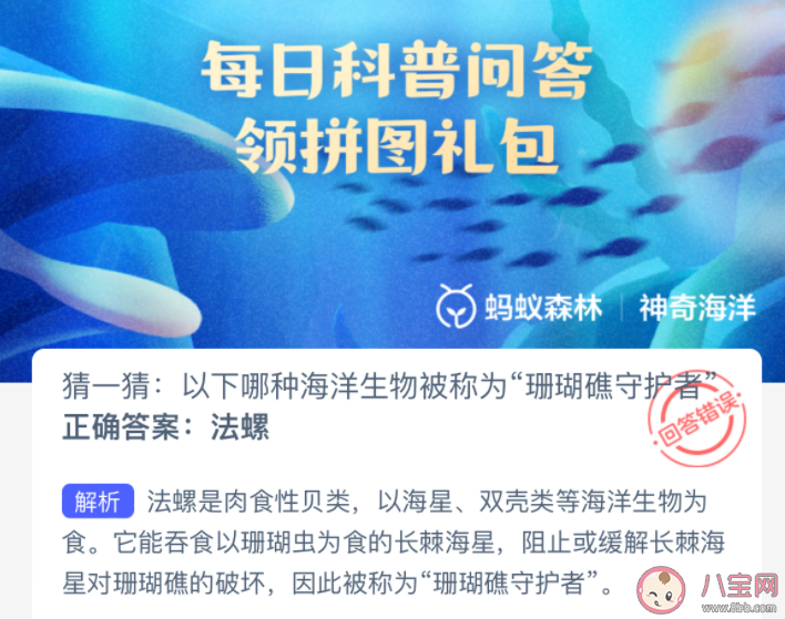 以下哪種海洋生物被稱為珊瑚礁守護(hù)者 神奇海洋3月25日答案