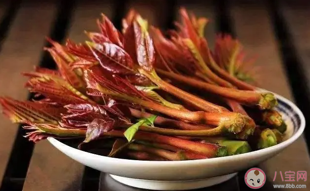 以下哪一項是春季常見的芽類蔬菜 螞蟻莊園3月26日答案 以下哪一項是春季常見的芽類蔬菜 螞蟻莊園3月26日答案