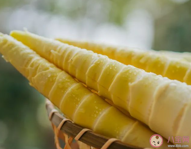 買回來的新鮮春筍吃不完怎么保存更合適 螞蟻莊園3月29日答案 買回來的新鮮春筍吃不完怎么保存更合適 螞蟻莊園3月29日答案