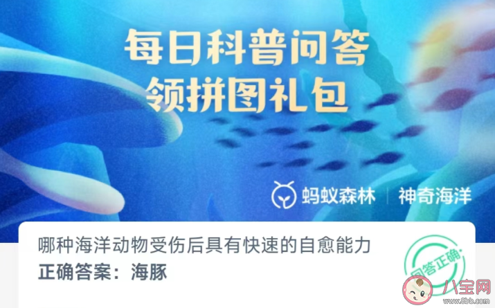 哪種海洋動物受傷后具有快速的自愈能力 神奇海洋3月29日答案