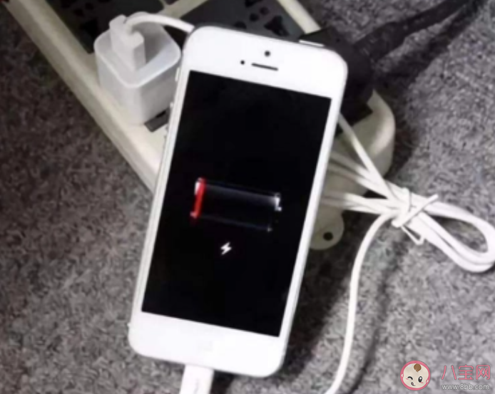 手機充電器用完后以下哪種做法更安全省電 螞蟻莊園3月30日答案