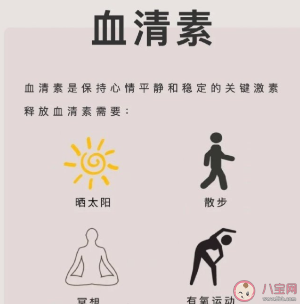 內(nèi)啡肽才是減肥高級(jí)模式嗎 內(nèi)啡肽有什么作用