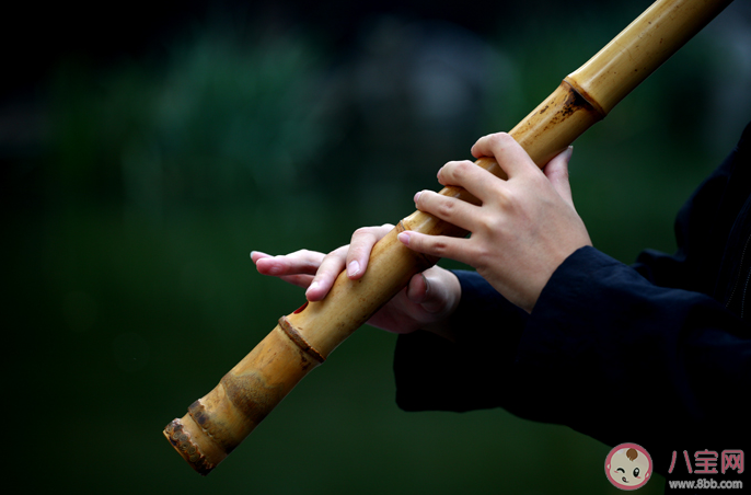古人云絲不如竹竹不如肉猜猜肉指的是什么 螞蟻莊園4月3日答案 古人云絲不如竹竹不如肉猜猜肉指的是什么 螞蟻莊園4月3日答案