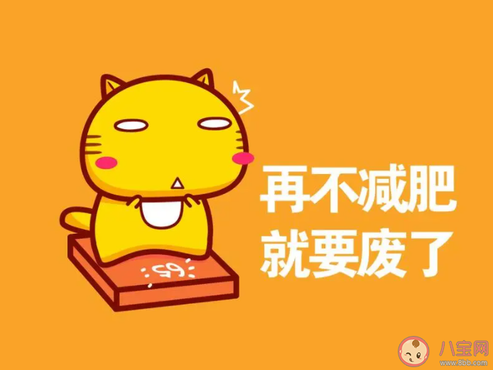 減肥關鍵點是餓嗎 減肥靠餓行不行