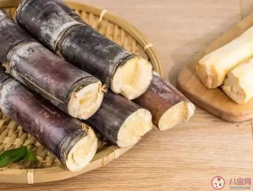 清明前后以下哪種食物存在霉變風險食用須謹慎 螞蟻莊園4月4日答案 清明前后以下哪種食物存在霉變風險食用須謹慎 螞蟻莊園4月4日答案