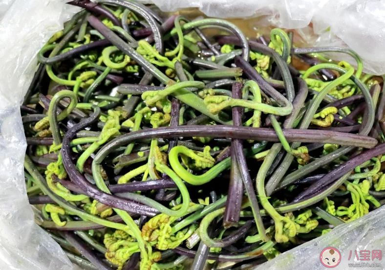 大媽連吃7天野菜吐血暈厥是怎么回事 野菜能多吃嗎 大媽連吃7天野菜吐血暈厥是怎么回事 野菜能多吃嗎