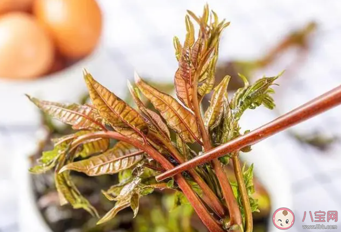 大媽連吃7天野菜吐血暈厥是怎么回事 野菜能多吃嗎 大媽連吃7天野菜吐血暈厥是怎么回事 野菜能多吃嗎