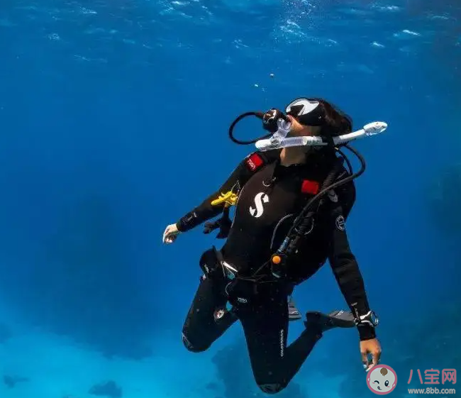 為何大家不再愿意去三亞潛水 去潛水要注意些什么 為何大家不再愿意去三亞潛水 去潛水要注意些什么