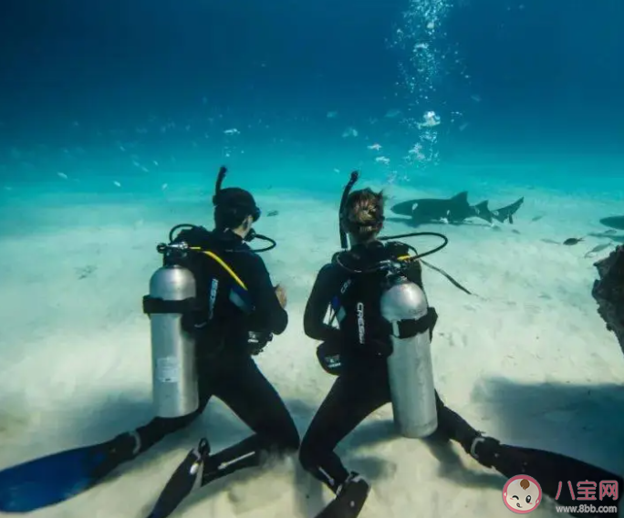 為何大家不再愿意去三亞潛水 去潛水要注意些什么 為何大家不再愿意去三亞潛水 去潛水要注意些什么