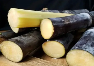 清明前后以下哪種食物存在霉變風(fēng)險(xiǎn)食用須謹(jǐn)慎 螞蟻莊園4月4日答案
