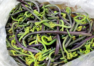 大媽連吃7天野菜吐血暈厥是怎么回事 野菜能多吃嗎