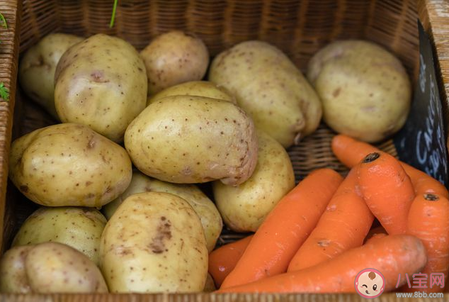 土豆為什么得名馬鈴薯 螞蟻莊園4月5日答案 土豆為什么得名馬鈴薯 螞蟻莊園4月5日答案