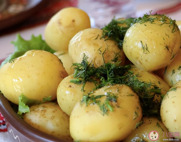 土豆為什么得名馬鈴薯 螞蟻莊園4月5日答案 土豆為什么得名馬鈴薯 螞蟻莊園4月5日答案