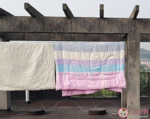 曬過的被子有一股太陽味這是螨蟲被烤焦的味道嗎 螞蟻莊園4月8日答案